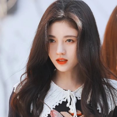 秋田犬蓬夫