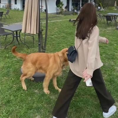 外滩探秘第二季